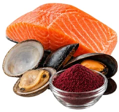 Proman Ultra — vitamin B12 in the composition